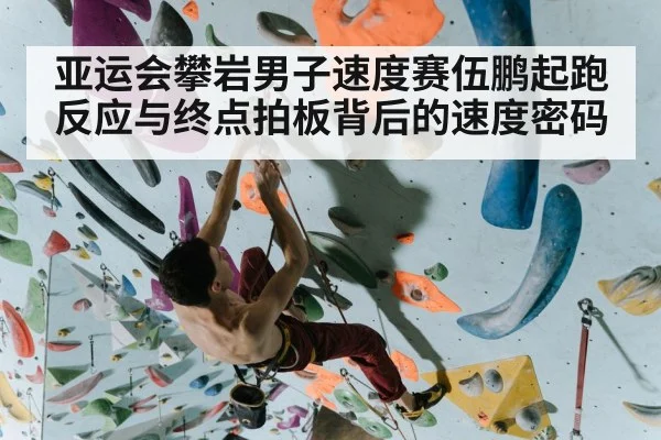亚运会攀岩男子速度赛伍鹏起跑反应与终点拍板背后的速度密码（dafabet）